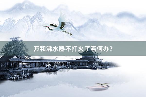 万和沸水器不打火了若何办？
