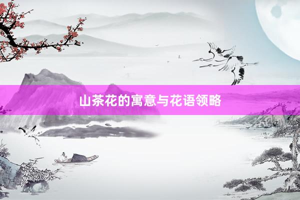 山茶花的寓意与花语领略