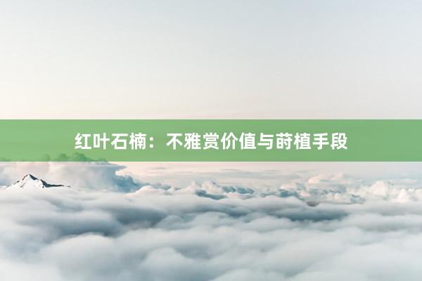 红叶石楠：不雅赏价值与莳植手段